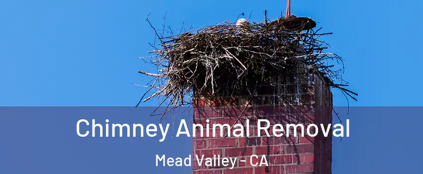  Chimney Animal Removal Mead Valley - CA