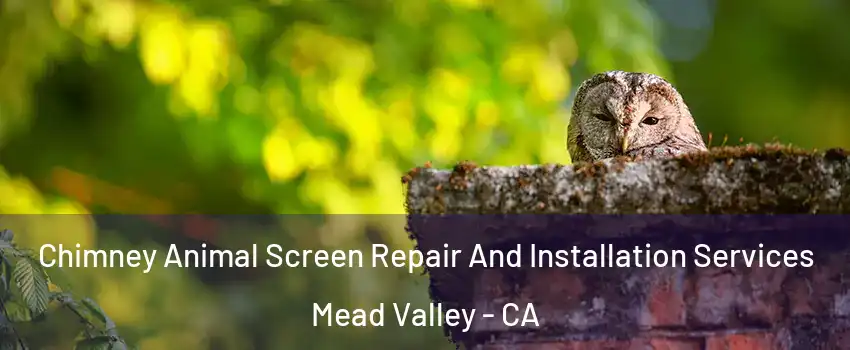  Chimney Animal Screen Repair And Installation Services Mead Valley - CA