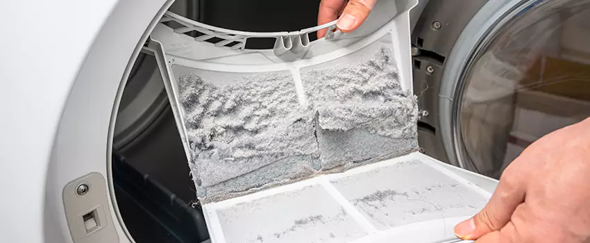 Best Dryer Lint Removal Company in Mead Valley, California