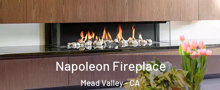  Napoleon Fireplace Mead Valley - CA