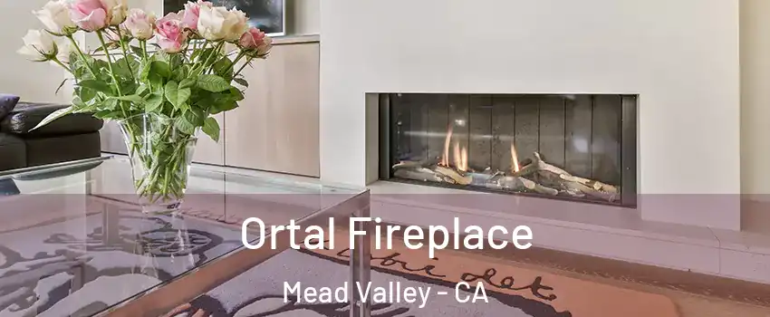  Ortal Fireplace Mead Valley - CA